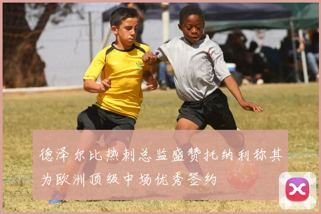 德泽尔比热刺总监盛赞托纳利称其为欧洲顶级中场优秀签约